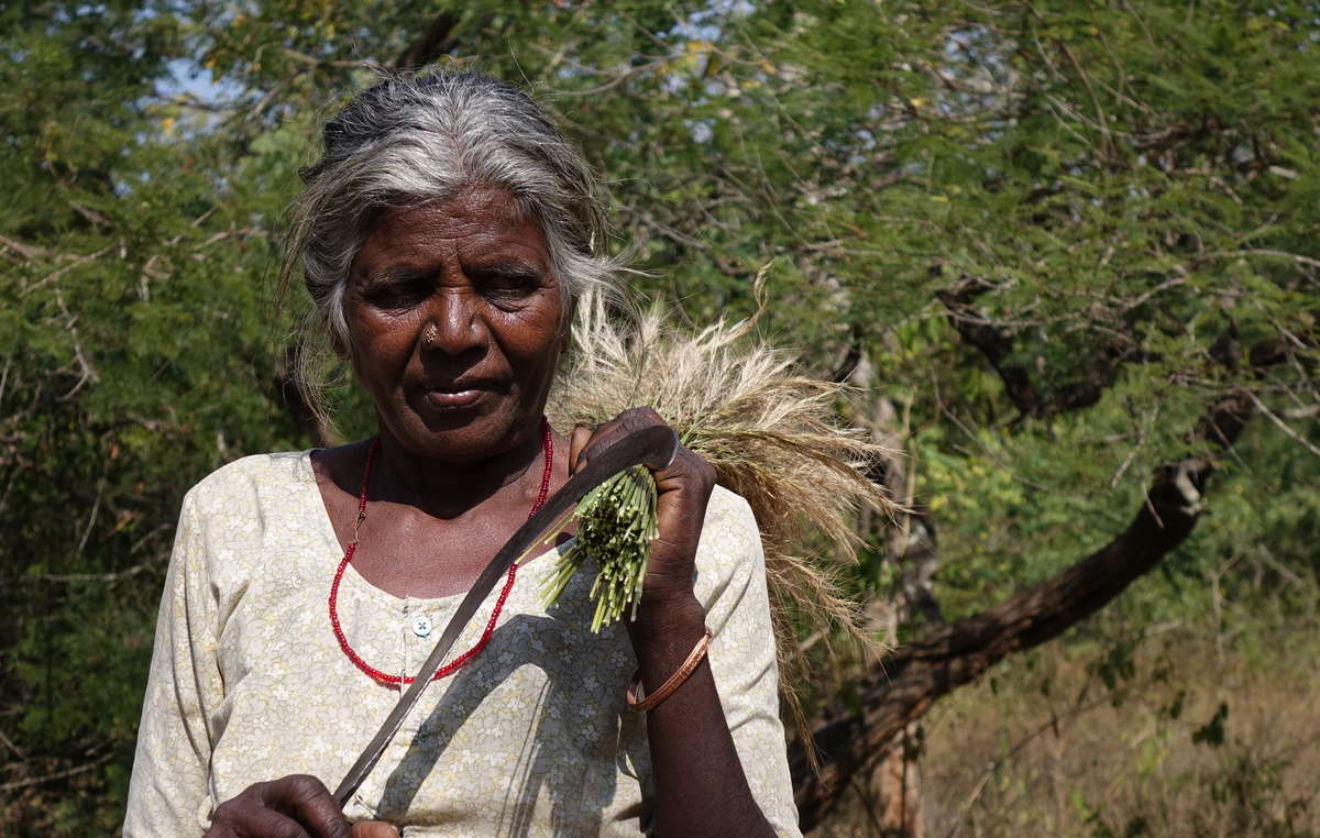 Chenchu woman from Pecheru village. The village was evicted in the ’80s.The villagers tell us that of the 750 families that used to live in the village, only 160 families survived after the eviction took place. Many starved to death. Nagarjunsagar Srisailam Tiger Reserve.
