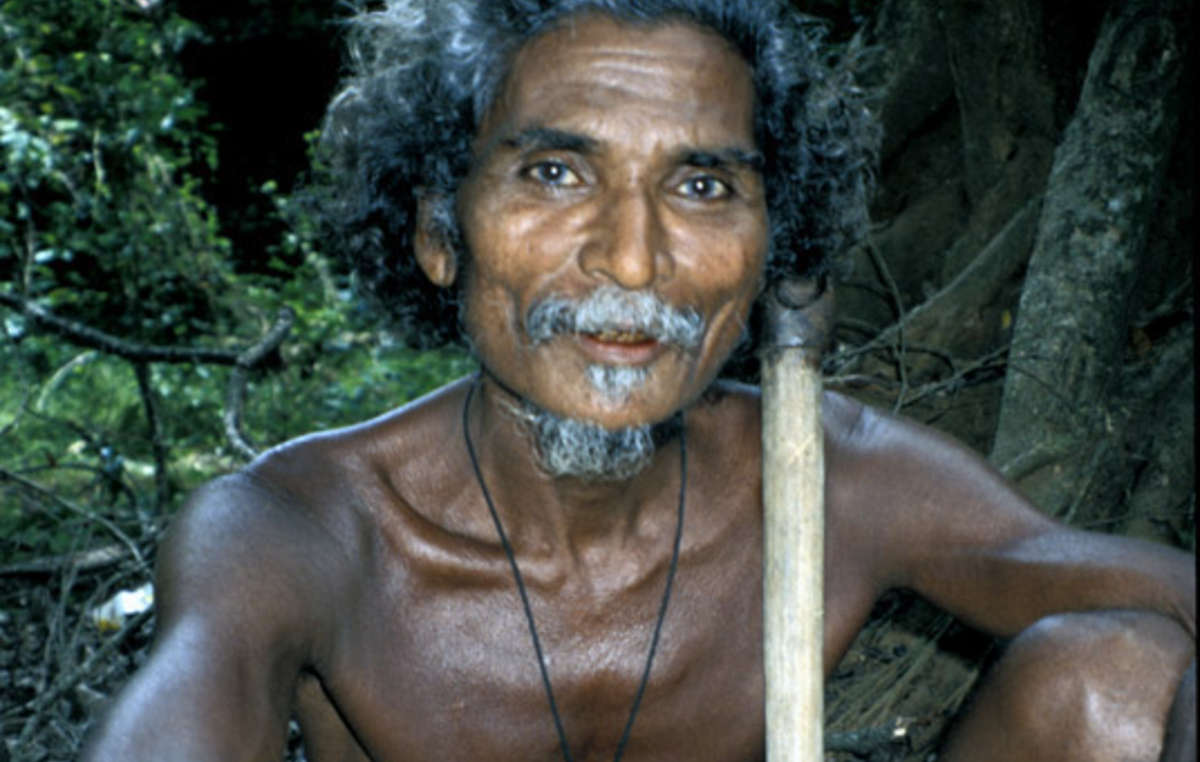 Many Wanniyala-Aetto have been fined for hunting in their forest. Some have even been shot dead.