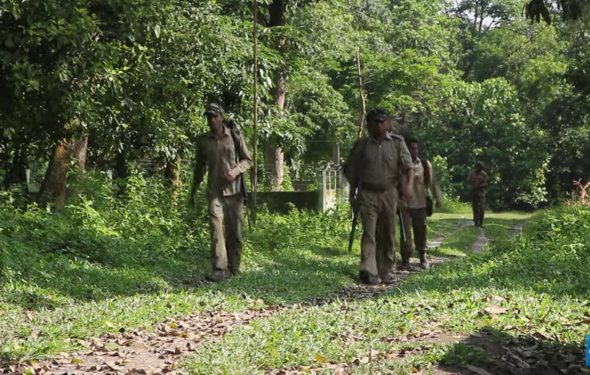 Armed guards on patrol in Kaziranga National Park, India. Guards are authorized to shoot any intruders on sight.