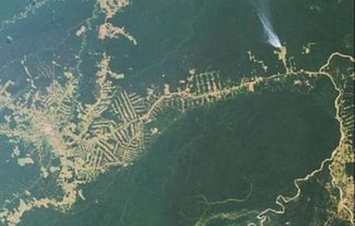Imagen aérea de la carretera BR-364 en Brasil. Muestra la destrucción espiral que pueden provocar las carreteras. Madereros y otros invasores las usan para, a su vez, construir otros caminos más pequeños que se adentran en la selva.