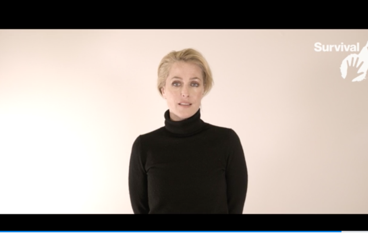 Actress and Survival International ambassador Gillian Anderson fronts Survival’s global campaign for uncontacted tribes.