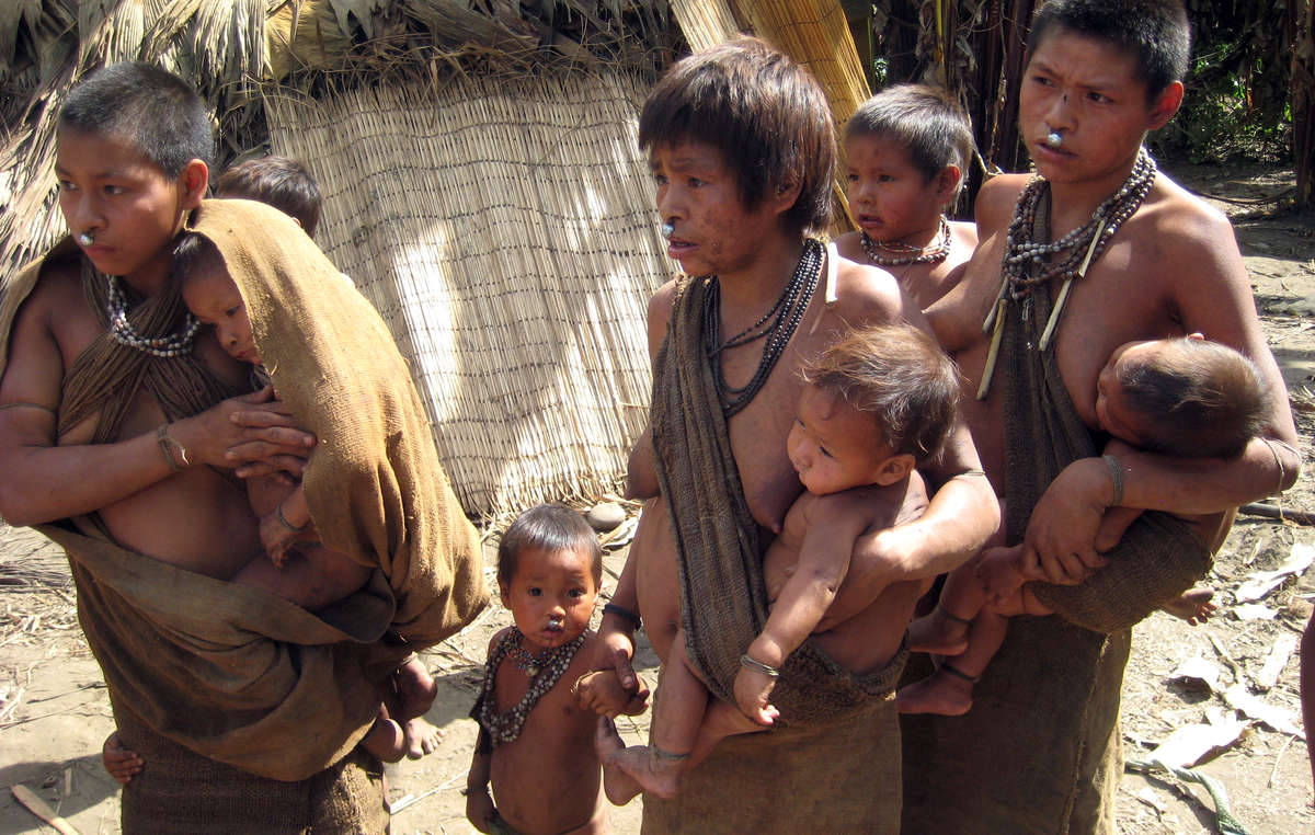 Los indígenas aislados nanti viven en lo profundo de la Reserva Kugapakori-Nahua, y se encuentran amenazados por la invasión de sus tierras y las enfermedades.