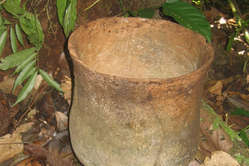 Ceramic pots found in the Isconahua reserve are evidence of the presence of these isolated Indians.