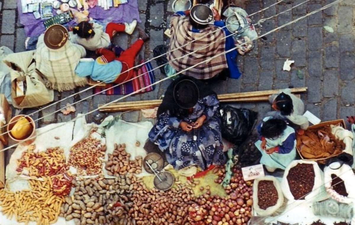 De nombreuses variétés de pommes de terre sont cultivées dans les Andes