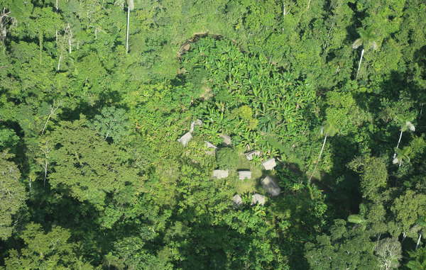 Communal houses of an uncontacted Indian community near the new Yavari-Tapiche reserve.
