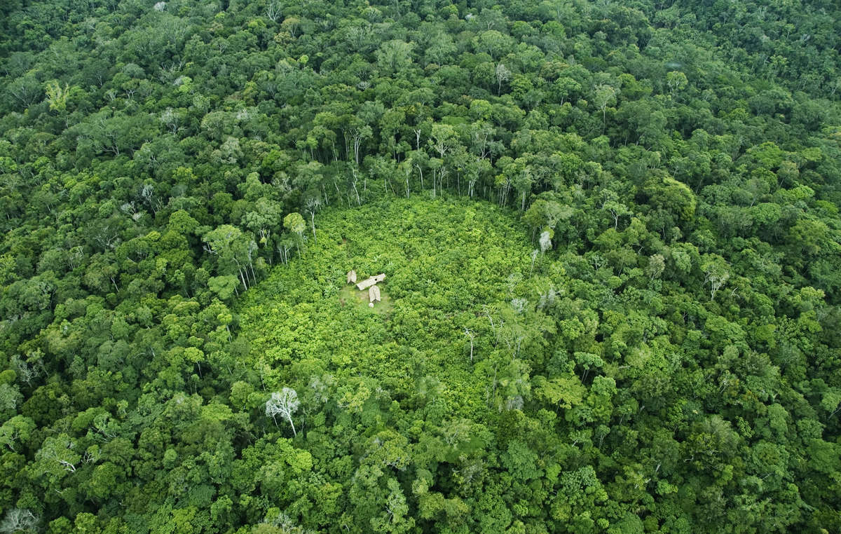 Los zo'é viven en las profundidades de la selva amazónica y construyen casas en medio de sus huertos, donde cultivan verduras y frutas como la yuca y la banana.