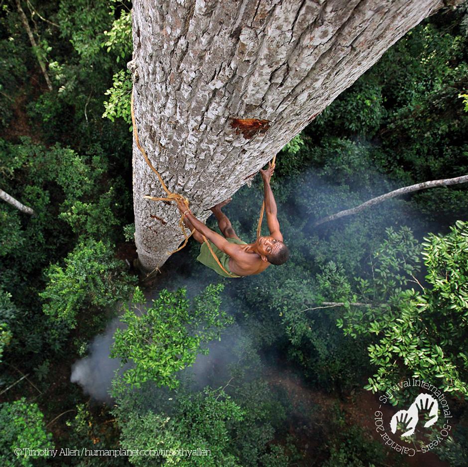 Uomo Bayaka, Repubblica Centrafricana, 2016. Calendario 2019 di Survival, aprile. 

I Bayaka mangiano 8 tipi diversi di miele selvatico e il loor stile di vita largamente autosufficiente prevede l'utilizzo di centinaia di piante differenti. I territori indigeni sono le aree a più alta biodiversità della terra: le prove dimostrano che i popoli indigeni sanno prendersi cura dei loro ambienti e della fauna meglio di chiunque altro.