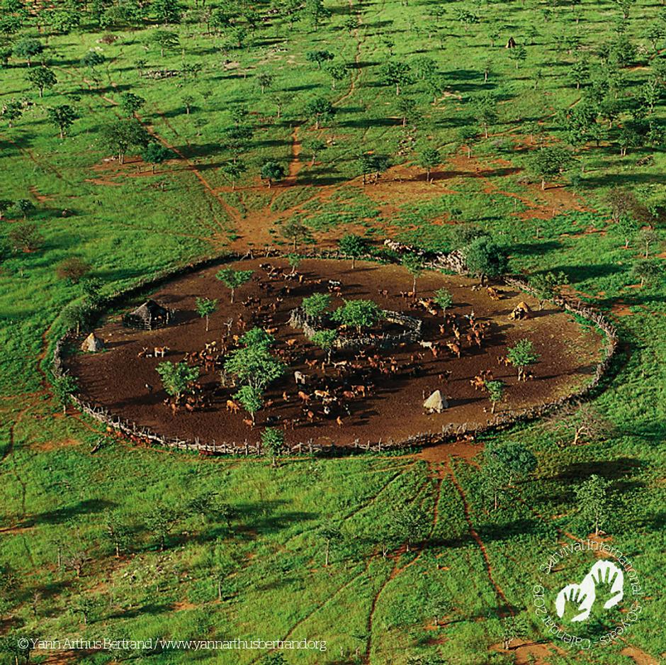 Villaggio himba, Namibia, 1997. Calendario 2019 di Survival, febbraio.

Spesso si afferma erroneamente che le terre indigene sono “selvagge”, ma gli ambienti “naturali” più celebri al mondo sono le terre ancestrali di milioni di indigeni che li hanno plasmati, alimentati e protetti per millenni. 