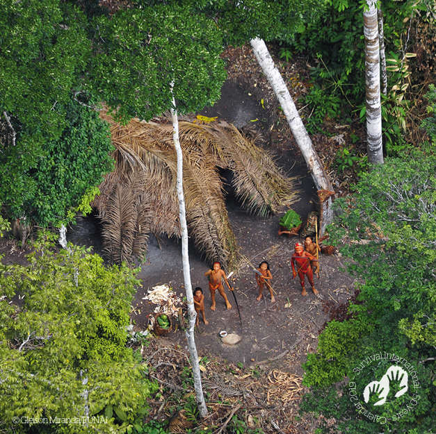 Uncontacted tribe, Brazil, 2010. Survival Calendar 2019, November.

There are more than 100 uncontacted tribes around the world. Survival International is the only organization fighting worldwide to stop their extermination.