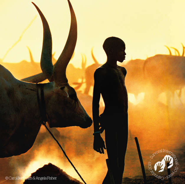 Ragazzo Dinka, Sudan. Calendario 2019 di Survival, settembre. 

Più di 150 milioni di uomini, donne e bambini in oltre 60 nazioni vivono in società tribali. Sono in gran parte autosufficienti e dipendono dalle loro terre per la loro salute e il loro benessere. 