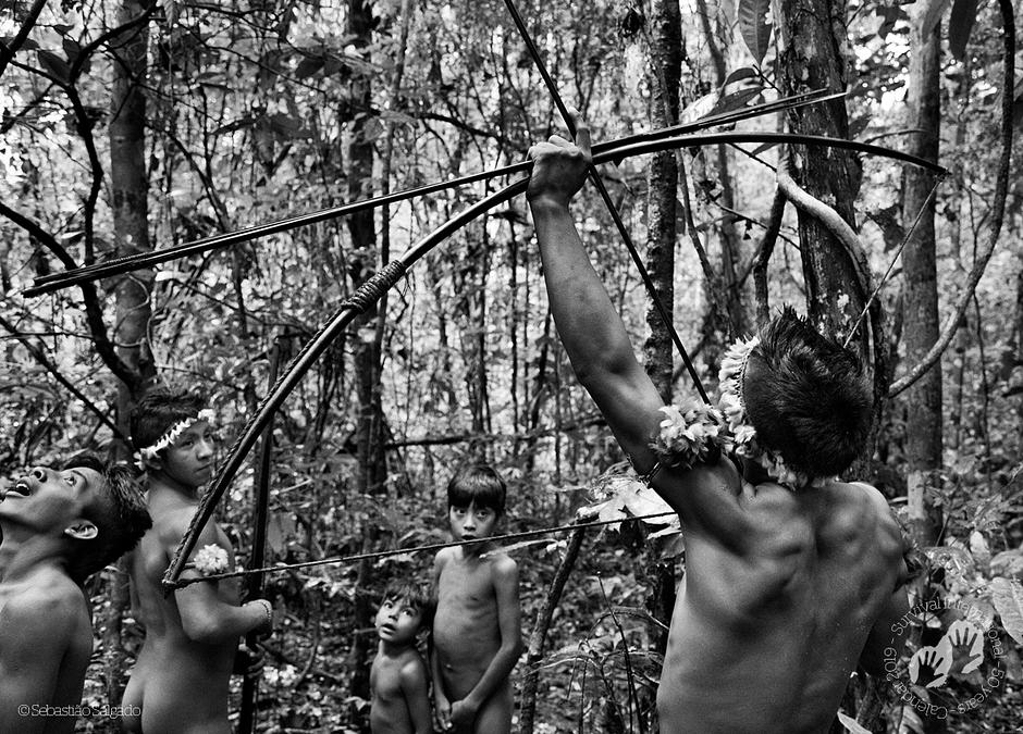 Awá, Brasile, 2013. Calendario 2019 di Survival.

Ogni calendario è corredato di un *calendarietto da tavolo gratuito* con una splendida fotografia dei cacciatori-raccoglitori awà scattata dal celebre Sebastião Salgado. Costretto dalla campagna internazionale di Survival International, il Brasile è infine intervenuto per impedire l’estinzione della tribù più minacciata del mondo. 