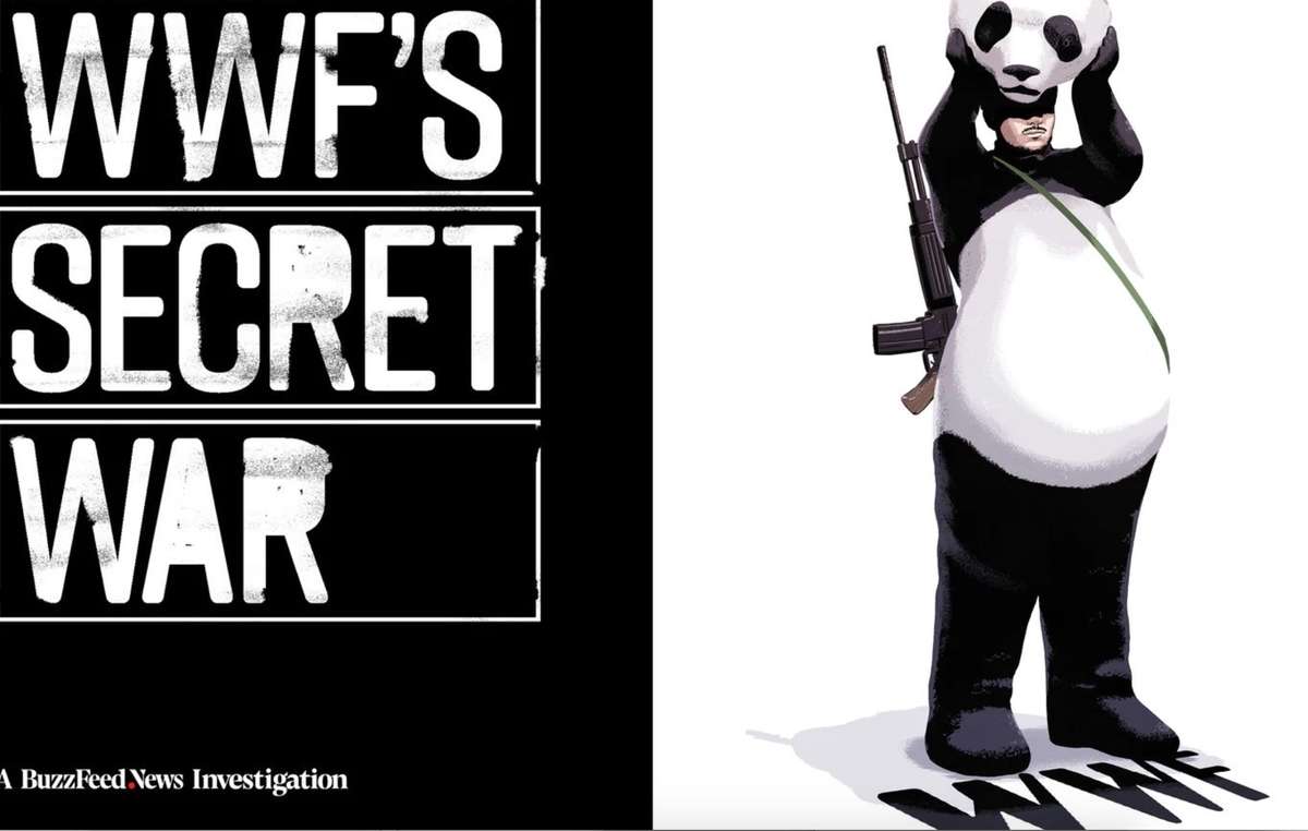 Nova investigação do site de notícias Buzzfeed revela que o WWF tentou encobrir estupros coletivos e assassinato cometidos por guardas florestais