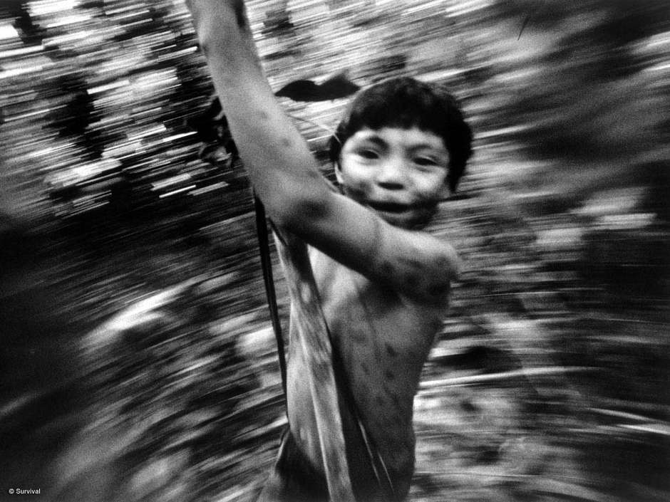 Bei den "Yanomami":http://www.survivalinternational.de/indigene/yanomami, im brasilianischen Amazonasgebiet, lernen Jungen die Spuren der Tiere zu lesen, Pflanzensaft als Gift einzusetzen und Bäume mit Lianen hinaufzuklettern. 

„Damals nahm mich meine Mutter immer mit sich in den Wald, um Krabben zu suchen, mit Timbó zu fischen oder wildwachsende Früchte zu sammeln", sagt der Yanomami-Schamane Davi Kopenawa.

„Ich bin auch mit ihr auf die Felder gegangen, wenn wir Maniok oder Bananen ernten oder Feuerholz holen mussten. Manchmal würden mich im Morgengrauen auch die Jäger zu sich rufen, wenn sie sich auf den Weg in den Wald machten. So wuchs ich im Wald auf.”
