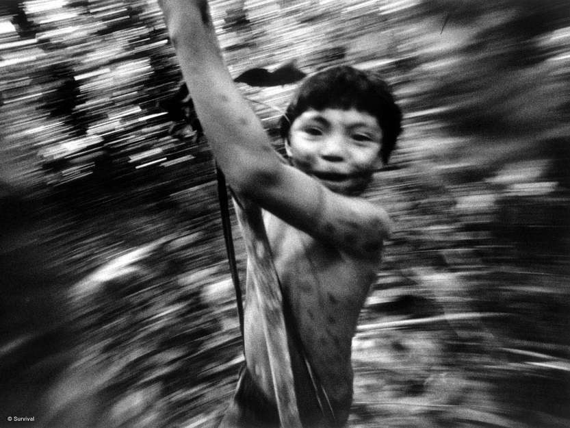 _A cette époque ma mère m’emmenait toujours avec elle dans la forêt,_ racontait Davi Kopenawa, porte parole des Yanomami du Brésil.  _Nous y cherchions des crabes, du poisson ou nous y cueillions des fruits sauvages. C’est ainsi que j’ai grandi dans la forêt._

Les garçons yanomami apprennent à 'lire' les traces des animaux, à utiliser la sève de certains arbres pour confectionner du poison de pêche à la nivrée et à grimper aux arbres les pieds liés avec des lianes ; les jeunes filles aident leurs mères à cultiver les jardins et récolter le manioc, à porter l’eau de la rivière et à cuisiner dans le 'yano' communautaire. On enseigne aux enfants que partager est un principe primordial de la vie sociale et que toute décision concernant la communauté doit recueillir un large consensus.

Aujourd’hui, des centaines de chercheurs d’or travaillent illégalement sur le territoire yanomami, transmettent le paludisme et polluent les rivières et les forêts au mercure. Davi Kopenawa se bat pour les droits de son peuple ; son souhait est que les enfants yanomami grandissent en étant épargnés des maladies transmises par les étrangers dans une forêt sans pollution industrielle.

_Je veux qu’ils puissent voir les étoiles, mais pas à travers la fumée, dit-il. Je veux qu’ils puissent boire l’eau du ruisseau sans tomber malades et qu’ils se réveillent avec le chant de l’oiseau piha, au lieu des pompes des orpailleurs._

(Photo : enfant yanomami, Brésil). 