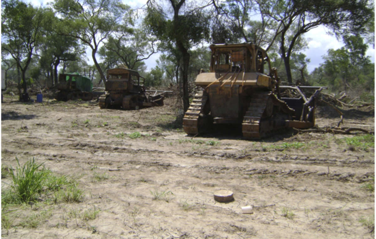 Bulldozers used for illegal deforestation, photographed by government investigators