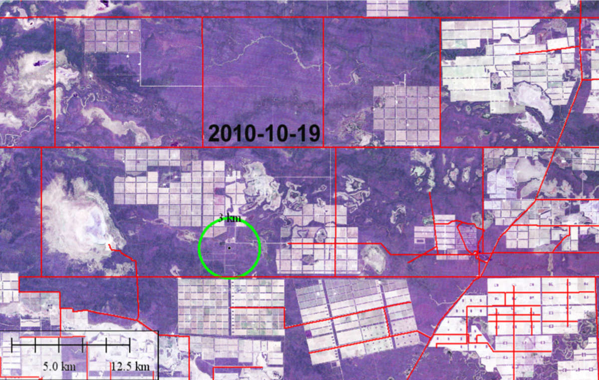 Illegal deforestation (circled) October - December 2010. Much of the surrounding forest has already been (illegally) cleared.