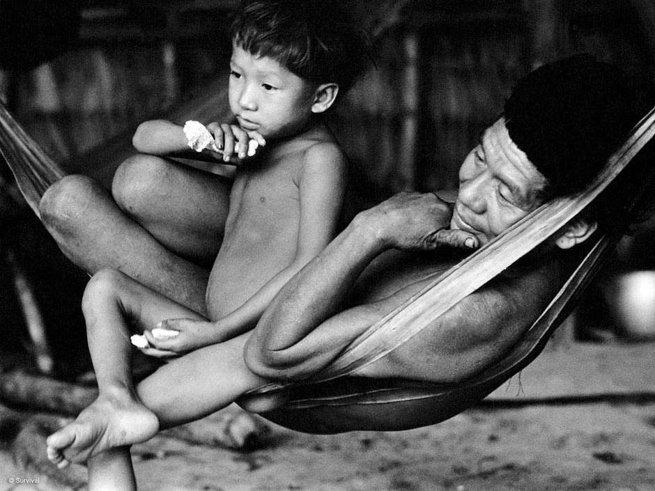 A Yanomami father and child in a hammock made from banana tree fibers. 

From the age of five, Yanomami boys accompany their fathers on hunting trips. They learn to shin up trees by tying their feet together with liana vines and practise hunting small birds with bows and arrows. 

_Sometimes the hunters would also call me at daybreak when they left for the forest_, says Davi Kopenawa, a spokesman for the Yanomami people. _I went with them and when they killed small game they would give them to me._

_That was how I grew up in the forest_.


