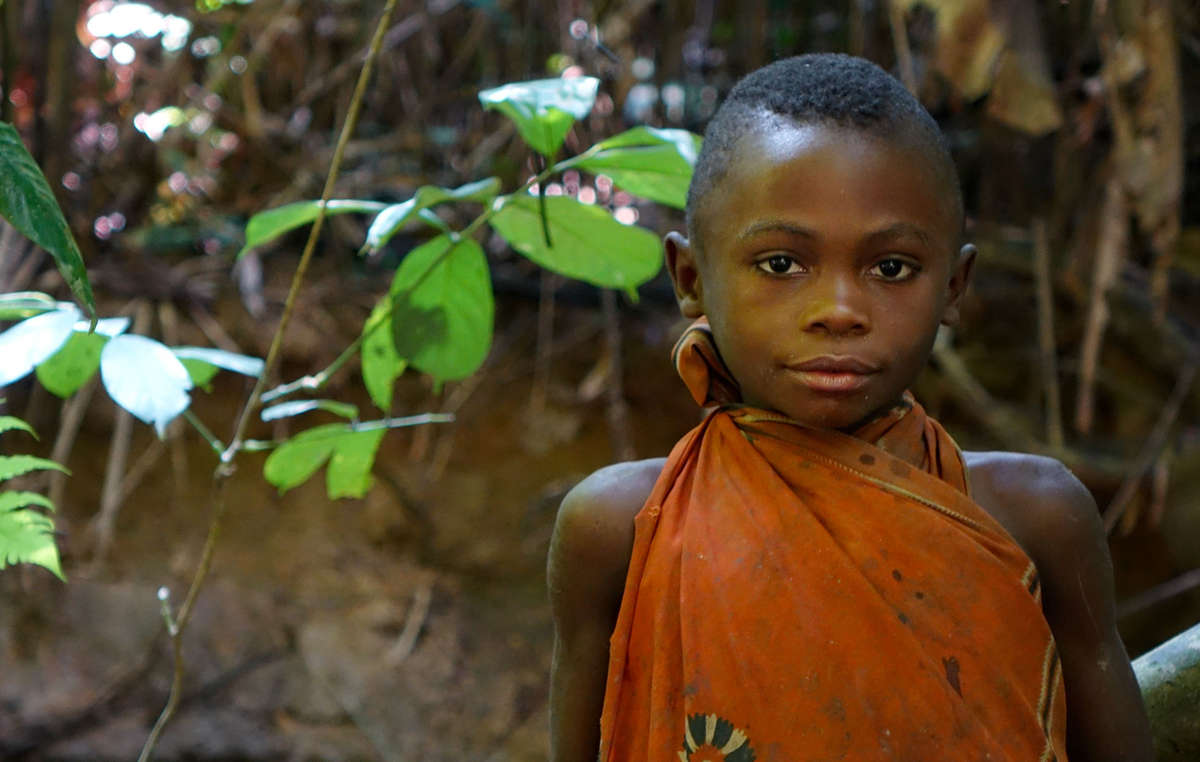 A Baka girl in Republic of Congo