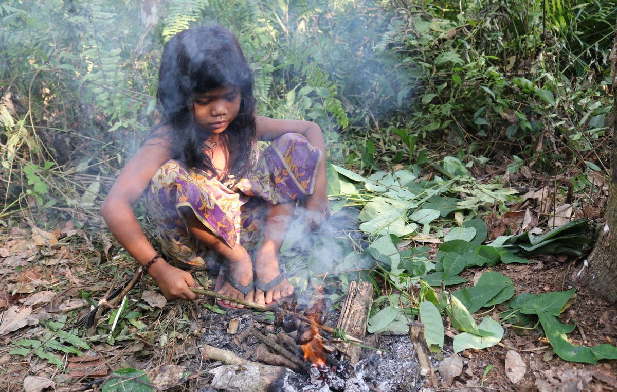 Nande cooking wild boar in the forest