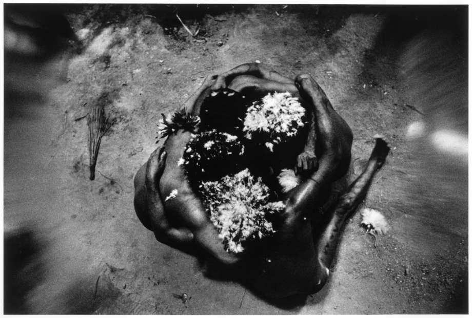 Die meisten Yanomami-Rituale werden immer noch aktiv praktiziert. Dazu hat auch Survivals Kampagne beigetragen, die die Demarkierung des Yanomami-Territoriums sicherte.  

„Die xapiripë haben seit Anbeginn der Zeit für die Schamanen getanzt und sie tanzen auch heute noch.“

„Ihre Köpfe sind mit den Daunen des weißen Falken bedeckt und sie tragen schwarze Bänder aus Affenschwänzen und Federn des Türkisblauen Kotinga in ihren Ohren.“

„Sie tanzen in aller Ruhe im Kreis.“