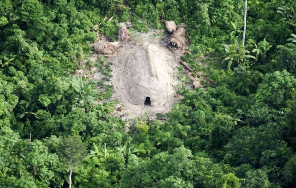 Uncontacted people's houses, Javari Valley, Brazil.