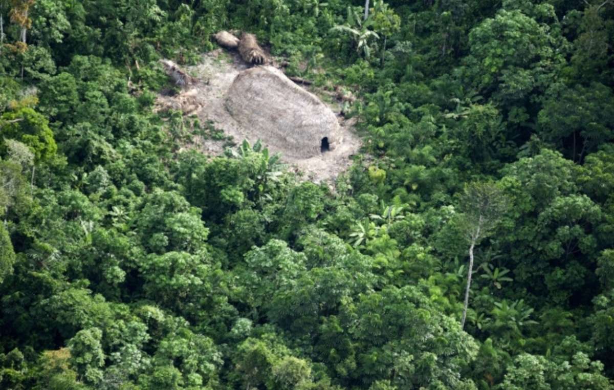 Uncontacted people's houses, Javari Valley, Brazil.