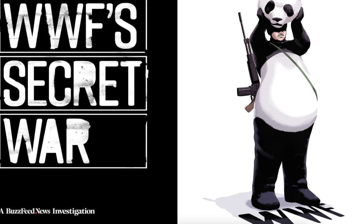 Las investigaciones de Buzzfeed revelaron que WWF financia a guardaparques que han cometido violaciones y asesinatos, y que encubre sistemáticamente estos crímenes.