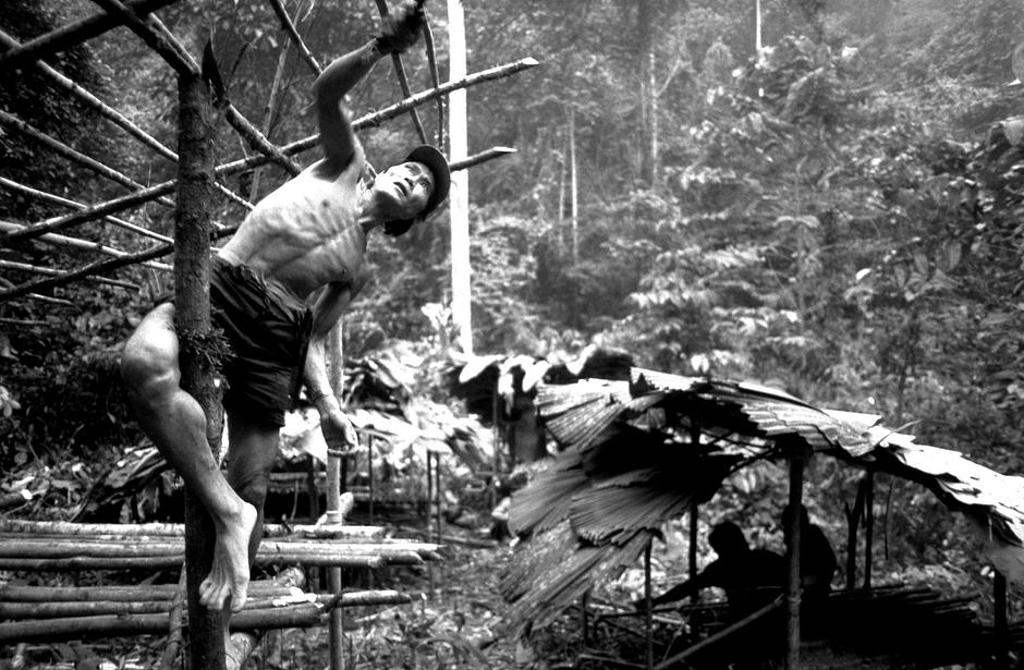 Penan hunters have long lived in harmony with the ancient rainforest of Sarawak in Borneo, one of the most biologically rich forests on earth.

Until the 1960s all Penan people lived as nomads, moving camp frequently in search of boar, and following the cycles of fruiting trees and wild sago palm.

Their homes – sulaps – were constructed from large wooden poles, lashed together with rattan strips and tiled with giant palm leaves. 