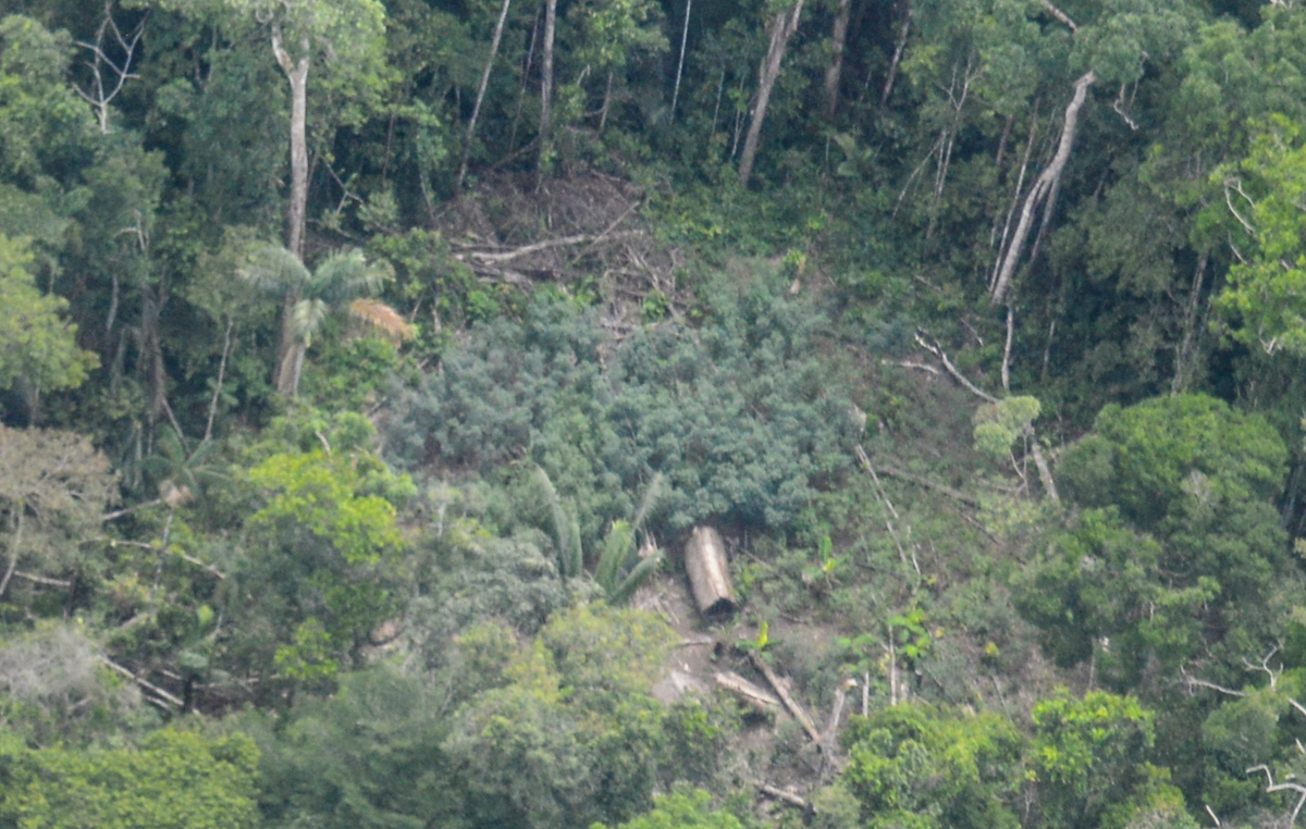 Imagens aéreas de malocas de indígenas isolados em Napo-Tigre, Peru.