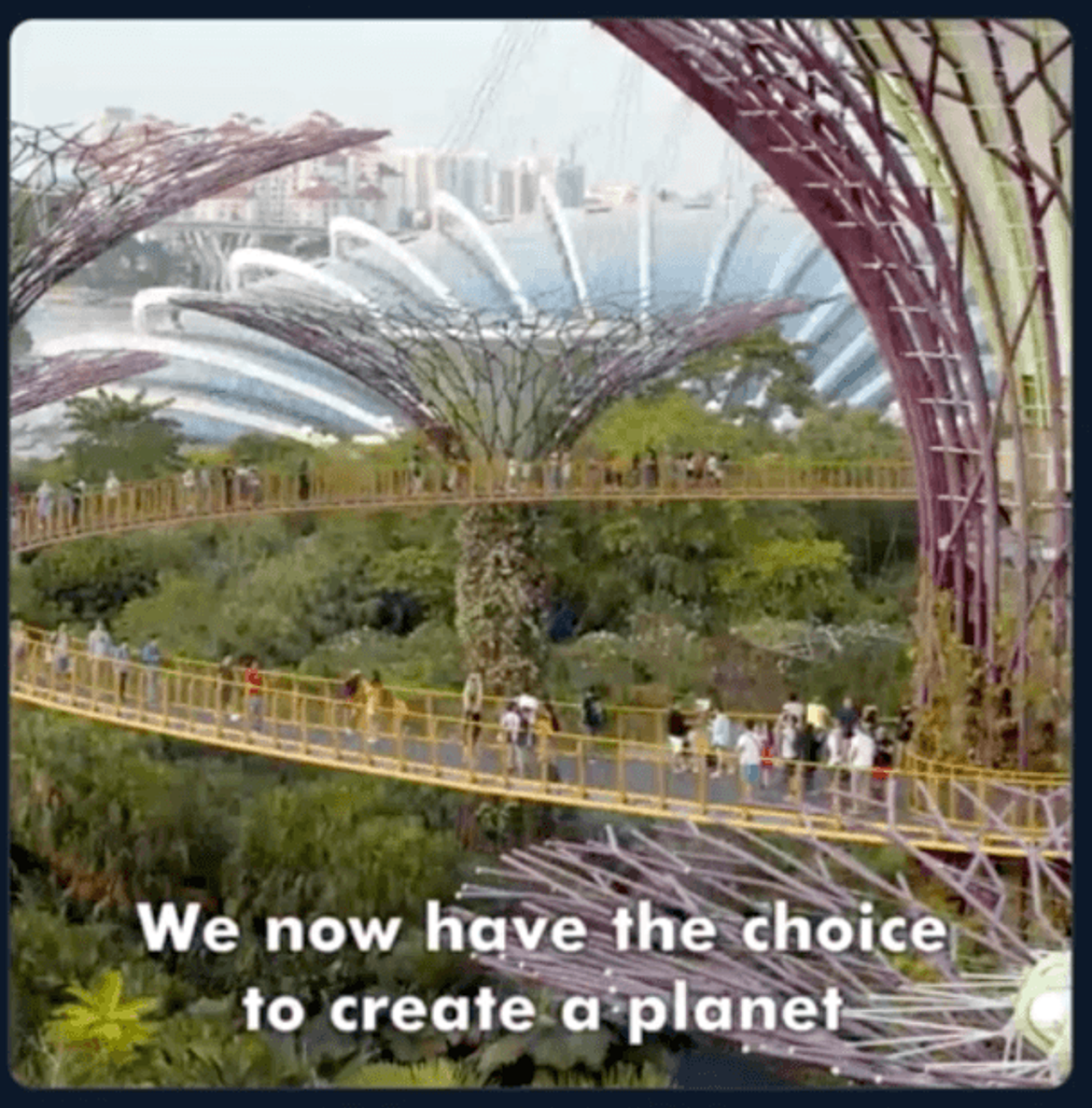 The Big Green Lie Survival International