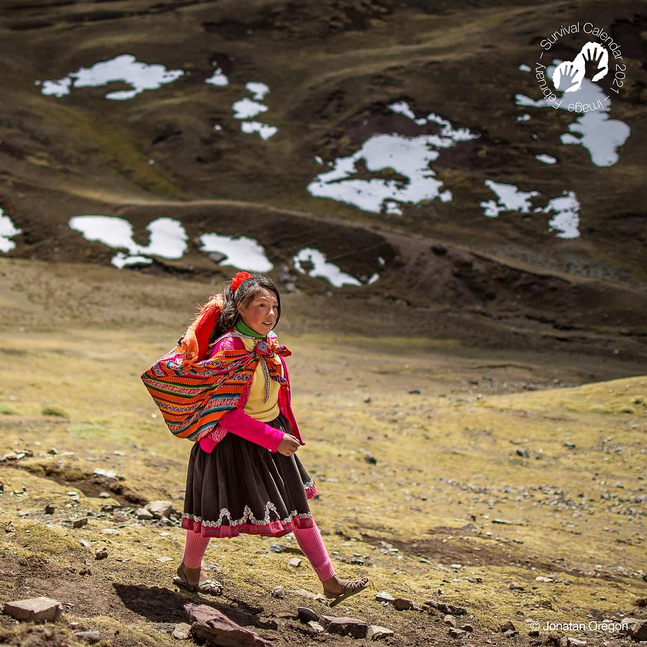 Quechua, Perú, 2018 - Los quechuas viven en los valles, las montañas y las áridas tierras altas de los Andes, su hogar entre los dioses durante milenios. Vivir a gran altitud no es fácil, pero los quechuas han desarrollado la habilidad de hacerlo. Las mujeres quechuas también son hábiles tejedoras y elaboran coloridos chales con los que transportan a sus bebés, maíz o leña.

Puedes "comprar aquí el calendario de Survival 2021 “We, The People”":https://tienda.survival.es/collections/calendario-y-tarjetas/products/nuevo-calendario-2021-we-the-people.