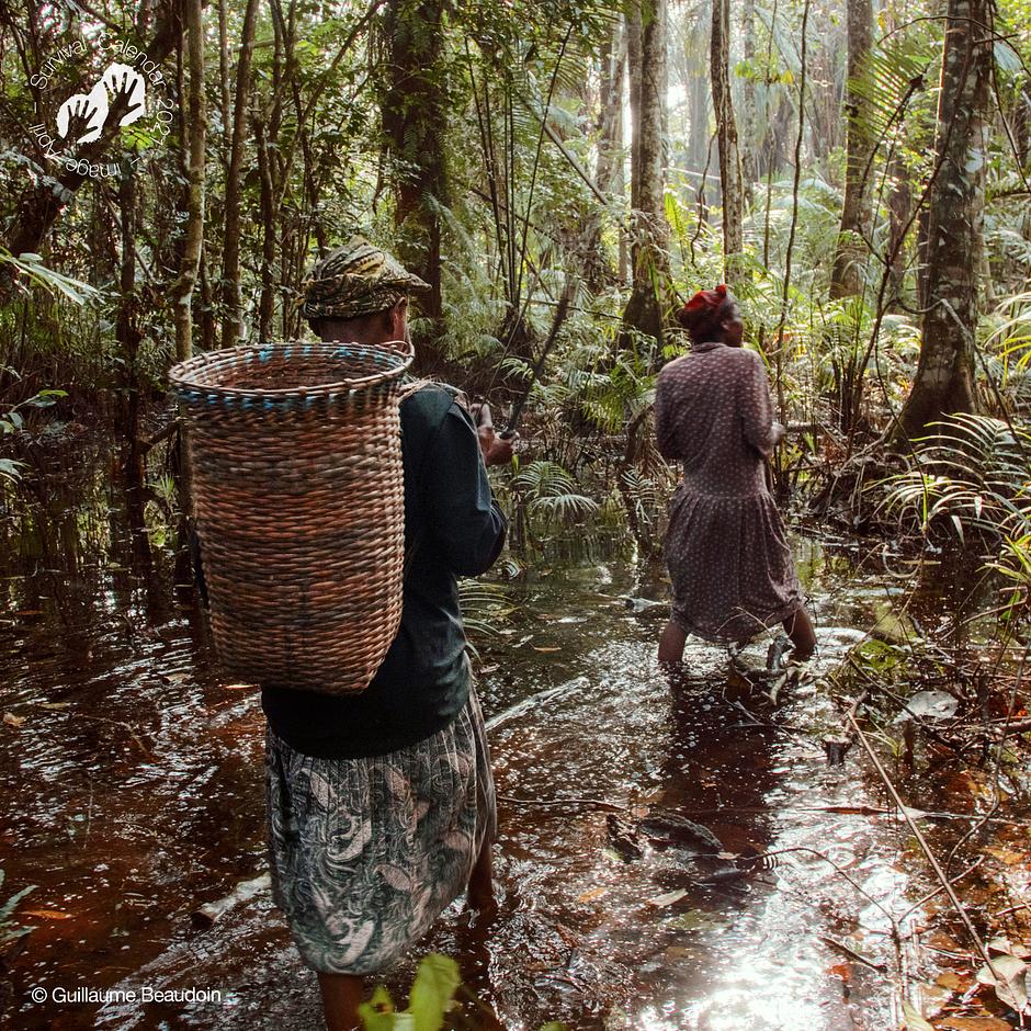 Baka (Gabón), 2019 - En las selvas de África Central varios pueblos indígenas han vivido durante milenios de la caza y la recolección. Pero en las últimas décadas su tierra ha sido devastada por la deforestación y la guerra. La expansión de las áreas protegidas les está expulsando ilegalmente de sus tierras y su estrecho vínculo con el bosque está seriamente amenazado. Survival está luchando para detener las violaciones de derechos humanos que se cometen contra ellos en nombre de la conservación de la naturaleza.

Puedes "comprar aquí el calendario de Survival 2021 “We, The People”":https://tienda.survival.es/collections/calendario-y-tarjetas/products/nuevo-calendario-2021-we-the-people.