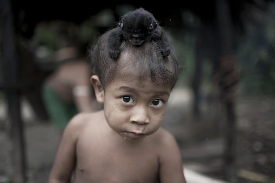 They move through the Amazon rainforest at night, carrying torches made from resin. They are the Awá people, and are one of only two nomadic hunter-gatherer tribes left in Brazil.

Today the Awá are increasingly threatened by loggers, settlers and cattle ranchers. Satellite maps show that over 30% of the rainforest in one of their territories has been destroyed.

As they still depend on the forest for every aspect of their lives - food, shelter and spiritual well-being - their children's lives are seriously endangered by the destruction of their homelands. _The loggers cut down the trees, and all the game runs away,_ said an Awá man. _Without the forest, we are nobody and have no way of surviving_.

(Image shows Awá-Guajá child with monkey, Brazil).