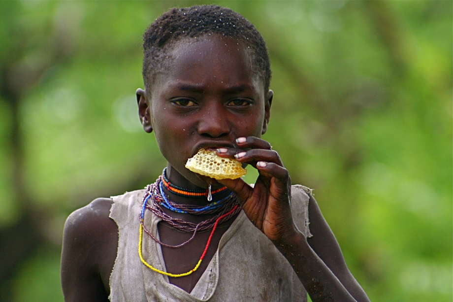 Un joven hadza se come un panal segundos después de que haya sido extraído de la colmena. 


