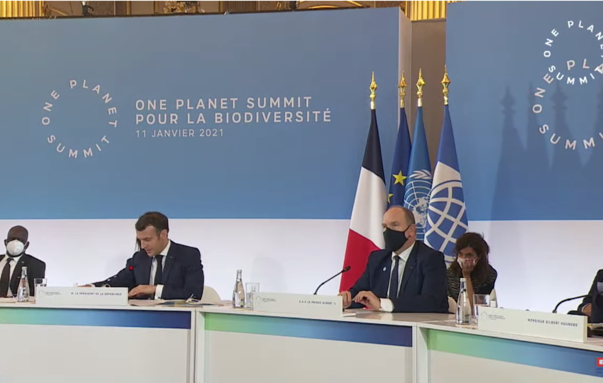 Emmanuel Macron interviene al One Planet Summit, che si è svolto l’11 gennaio 2021.