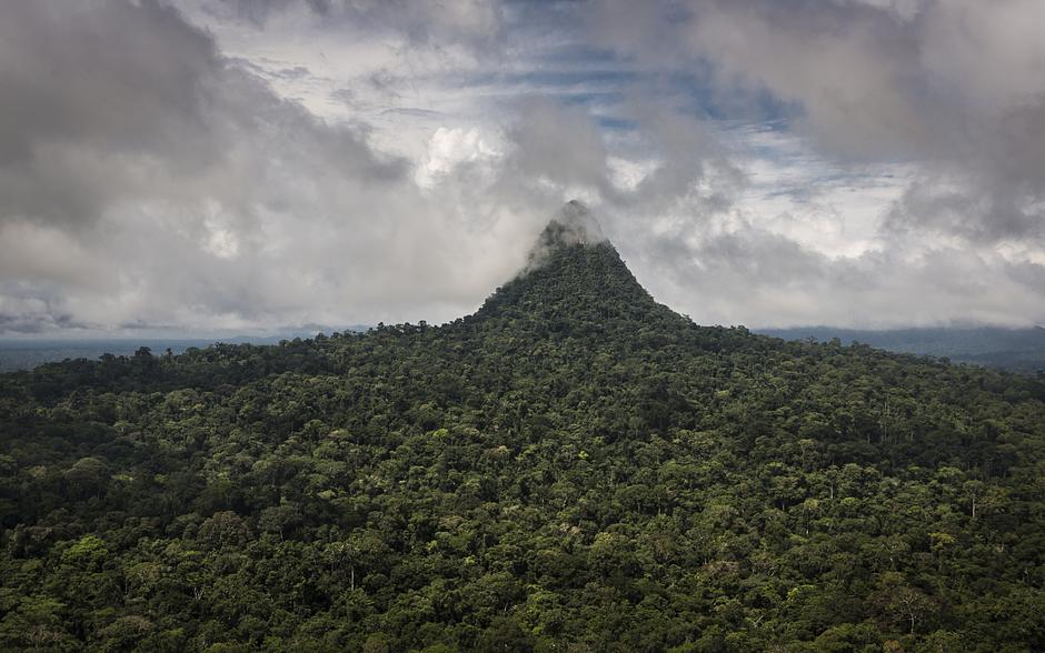 <b>Schutz unkontaktierter Völker in Peru</b>

Im Mai veröffentlichte das Kulturministerium Perus ein oberstes Dekret, mit dem das indigene Reservat „Sierra del Divisor Occidental-Kapanawa“ für unkontaktierte Völker formell eingerichtet wird. Nach fast 20 Jahren Kampf von indigenen Organisationen und mit der Unterstützung von Verbündeten wie Survival ist die Schaffung des eine halbe Million Hektar großen Reservats, in dem die unkontaktierten Völker Remo /Isconahua, Mayoruna (Matses und Matis) und Kapanawa leben, abgeschlossen. Miguel Manuhari vom benachbarten Volk der Kukama sagte dazu: „Wenn wir ihr Leben garantieren wollen, müssen wir ihre Territorien schützen.“