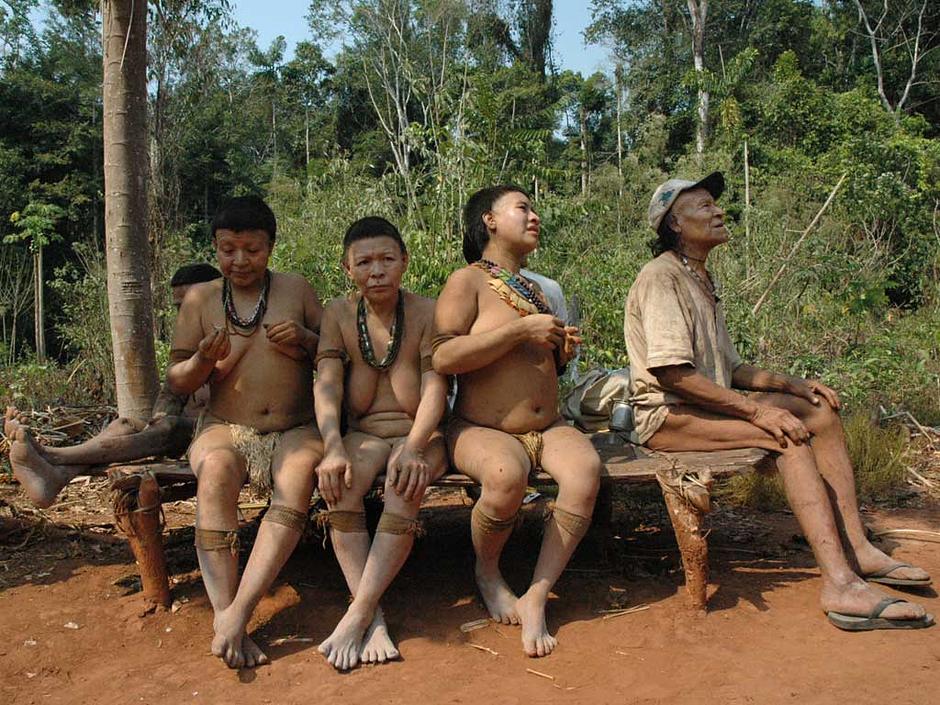 The Akuntsu are a tiny Amazonian tribe of just five individuals - smaller than a football team. 

They are the last known survivors of their people and live in Rondônia state, western Brazil; they have witnessed the genocide of their people by gunmen hired by cattle ranchers.

In a few decades the Akuntsu will become extinct, and our planet will have lost a unique people, language and culture.

FUNAI is trying to expel the ranchers that surround them and linguists are now working with the Akuntsu to record and understand their language.