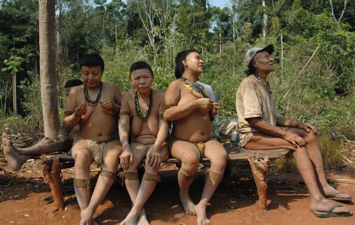 The Akuntsu are a tiny Amazonian tribe of just five individuals. They are the last known survivors of their people and live in Rondônia state, western Brazil.
