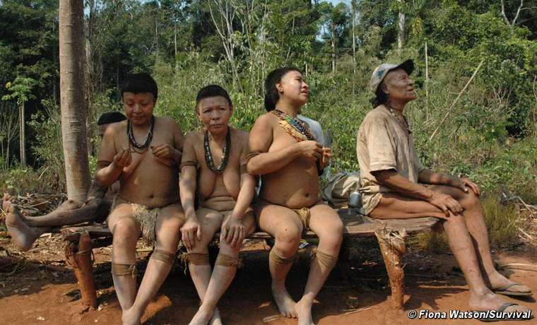 The Akuntsu are a tiny Amazonian tribe of just five individuals. They are the last known survivors of their people and live in Rondônia state, western Brazil.