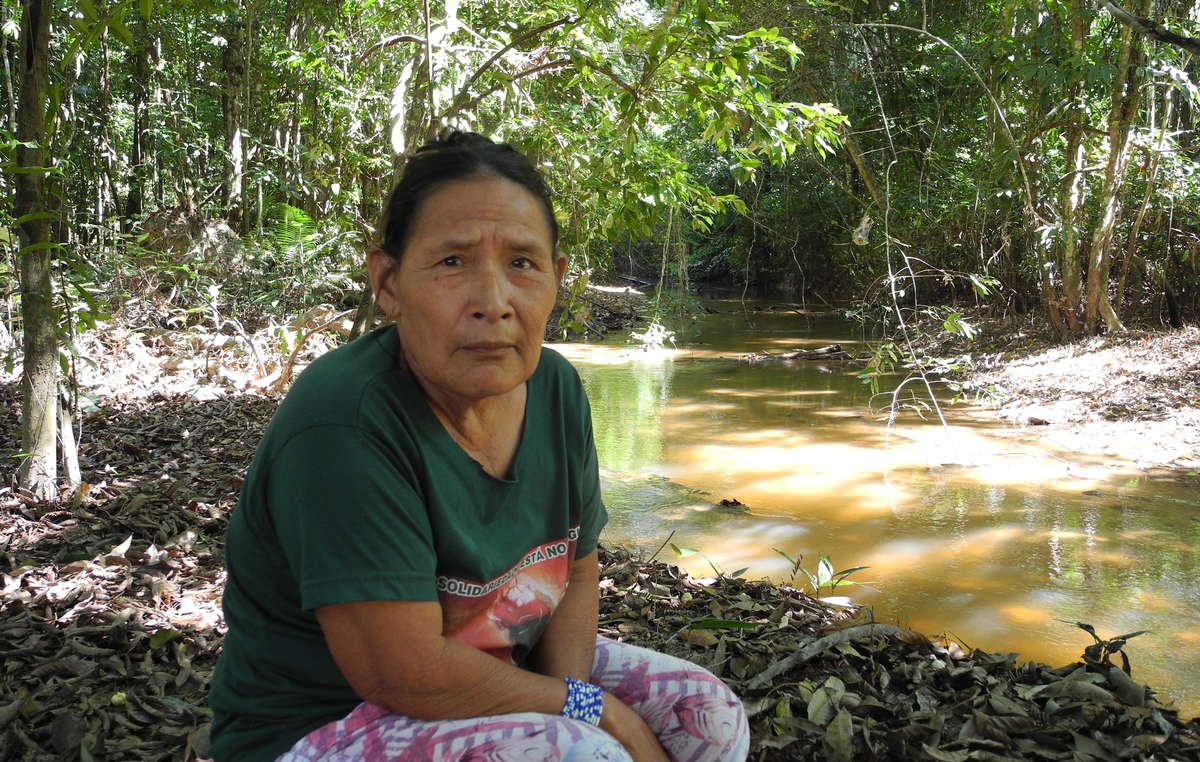I Piripkura sono un popolo incontattato dell’Amazzonia brasiliana. Rita Piripkura è l’unico membro della tribù a essere in contatto regolare con l’esterno e teme che i trafficanti di legname che operano illegalmente all’interno del territorio possano presto uccidere gli ultimi suoi parenti sopravvissuti agli attacchi.