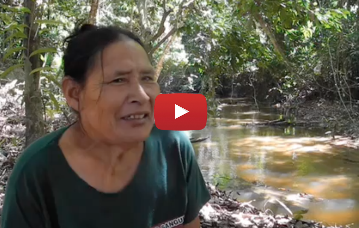 Rita Piripkura befürchtet, dass Holfzäller*innen, die illegal im Gebiet des indigenen Volkes ihr Unwesen treiben, bald ihre unkontaktierten Verwandten töten werden.