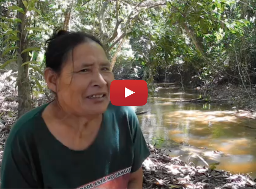 h2. Tribal Voice
Im Rahmen unseres langjährigen Projektes <u>"Tribal Voice":https://www.survivalinternational.de/stimme</u> haben wir Hunderte von Videos produziert und bieten damit indigenen Völkern eine Plattform, um sich weltweit zu den Themen zu äußern, die ihnen wichtig sind. In einer Zeit der Lockdowns und Reisebeschränkungen ist dies wichtiger denn je.
In diesem "einzigartigen Interview":https://www.youtube.com/watch?v=vB5Drn3ie7Y beschreibt Rita Piripkura, die einzige kontaktierte Angehörige der brasilianischen Piripkura, wie neun ihrer Verwandten bei einem Angriff von Holzfäller*innen getötet wurden. Sie sagt, dass ihr Bruder Baita und ihr Neffe Tamandua noch immer in ihrem angestammten Gebiet leben. Es wird angenommen, dass auch andere Mitglieder des Volkes tief im Regenwald leben. Wenn ihr Land nicht geschützt wird, könnten die Piripkura ausgelöscht werden.
