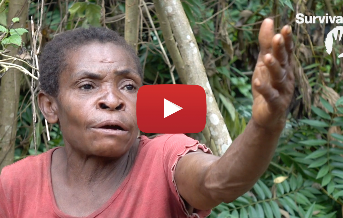 Link to: https://www.youtube.com/watch?v=_gFUN7vtbgQ - still of Paulette speaking out against abuses committed by park rangers backed by WWF.