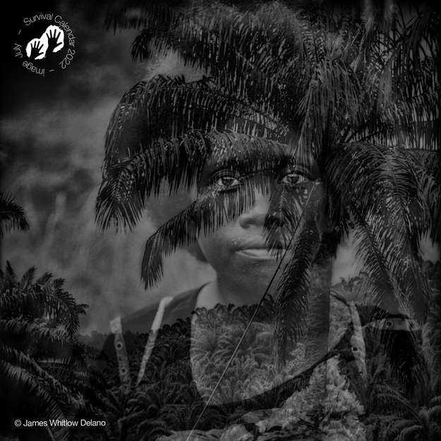 Donna batek, Malesia, 2019 - Il traffico di legname e le piantagioni di palma da olio hanno distrutto gran parte della foresta dei Batek. Il governo malese sostiene di tagliare il legno in modo sostenibile, ma raramente è così. I popoli indigeni hanno una conoscenza unica dei loro ambienti e sono i migliori custodi della natura. Se vogliamo salvare la foresta pluviale, dobbiamo lottare affinché resti nelle mani dei popoli indigeni.