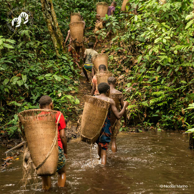 Bayaka, Repubblica Centrafricana, 2015 - “Siamo i figli della foresta”. Pochi popoli sulla Terra hanno una relazione con la foresta tanto stretta quanto quella dei popoli del Bacino del Congo. Sono i migliori conservazionisti. Eppure vengono sfrattati, torturati e uccisi nel "+nome della conservazione+":https://www.survival.it/conservazione. I territori dei popoli indigeni custodiscono l’80% della biodiversità del mondo e difendere i loro diritti è il modo più efficace per proteggerla. 