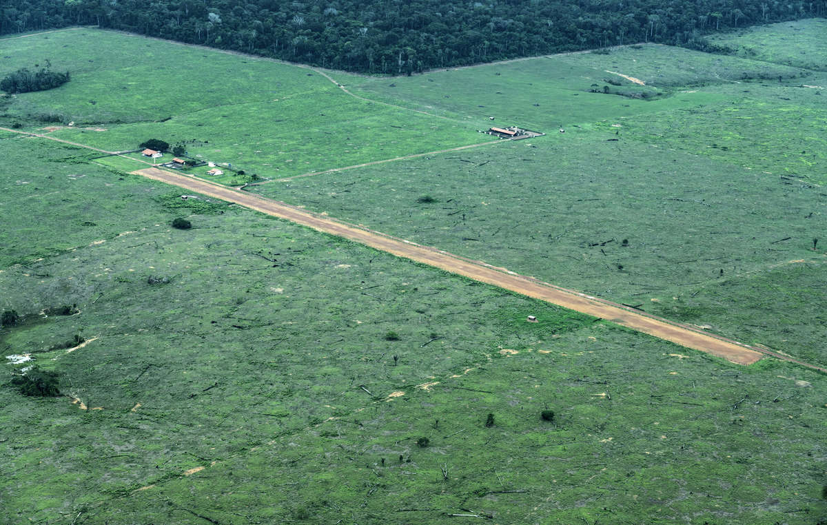Le fotografie aree hanno rivelato la presenza di una pista di atterraggio all'interno del territorio Piripkura.