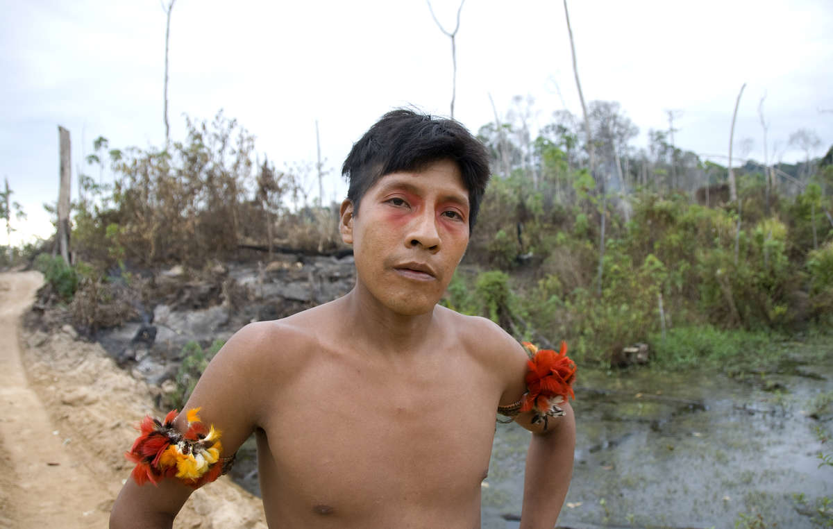 Pire'i Awá steht auf einer illegalen Abholzungsstraße, die einen Bach blockiert hat. 2010 © F Watson/ Survival