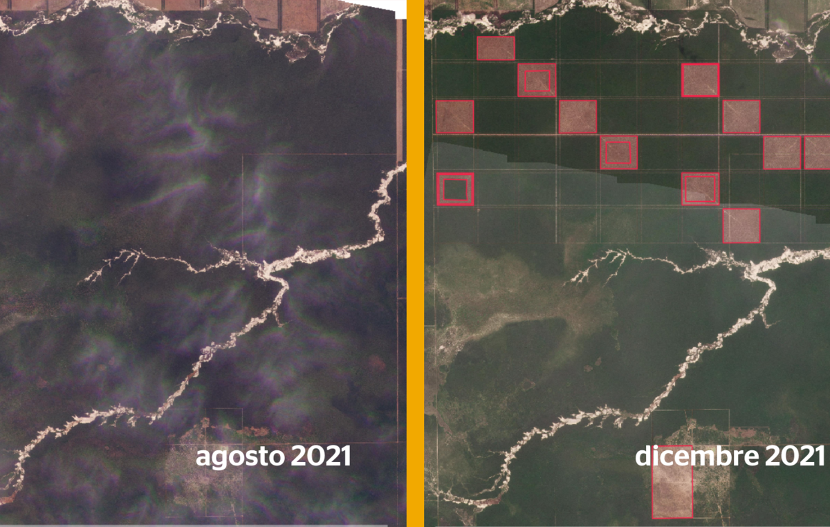 La deforestazione illegale sta entrando proprio nel cuore del territorio degli Ayoreo incontattati: i riquadri in rosso indicano i lotti di terra già abbattuti, mentre la griglia indica i lotti di terra destinati a imminente deforestazione.
