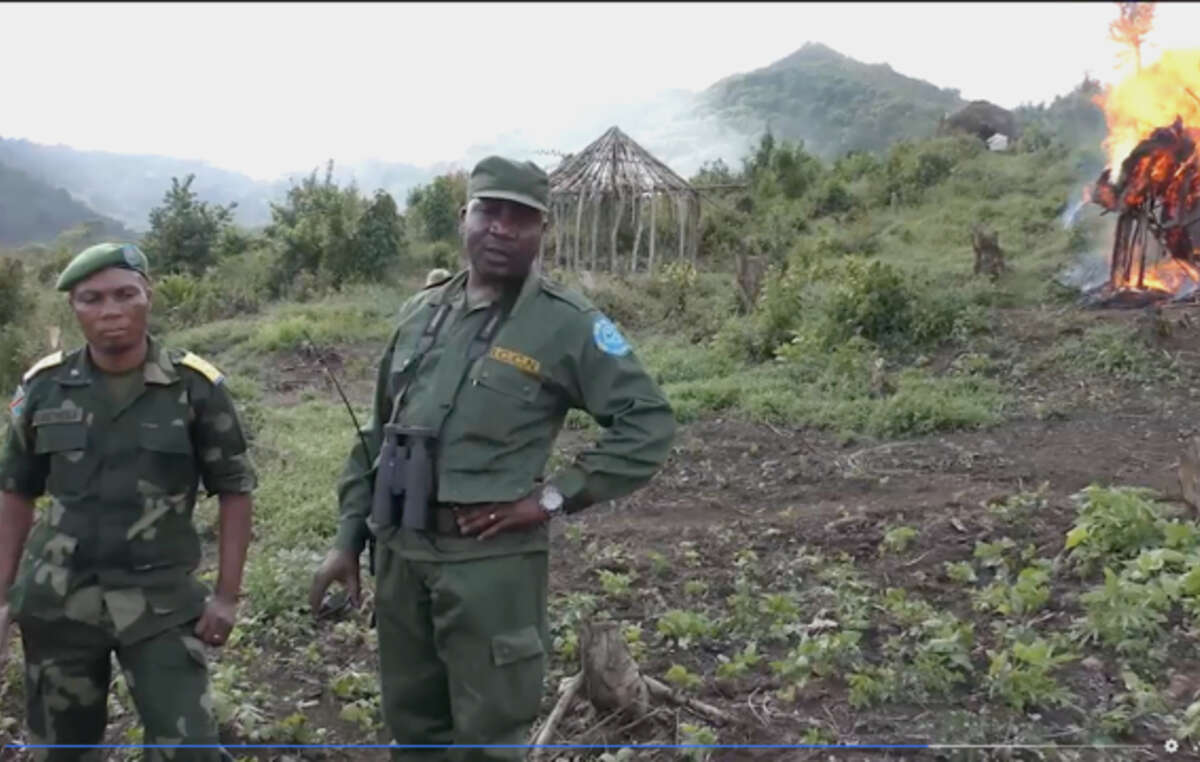 Guards and soldiers in Kahuzi-Biega National Park burn Batwa houses to drive them from the park – their ancestral land.
