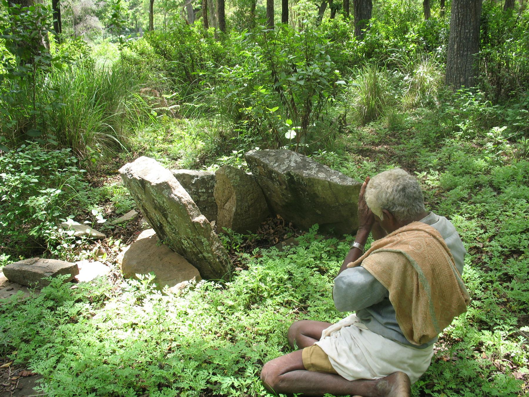 Soliga Indian tribe secures unprecedented rights to tiger reserve